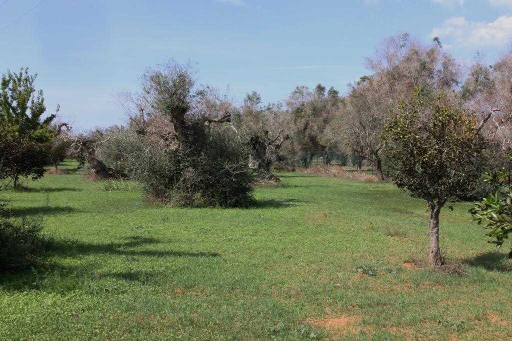 Villa Nanni Gallipoli Exterior foto